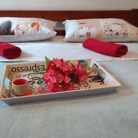 Apartment Vladka อิซอลา ภายนอก รูปภาพ
