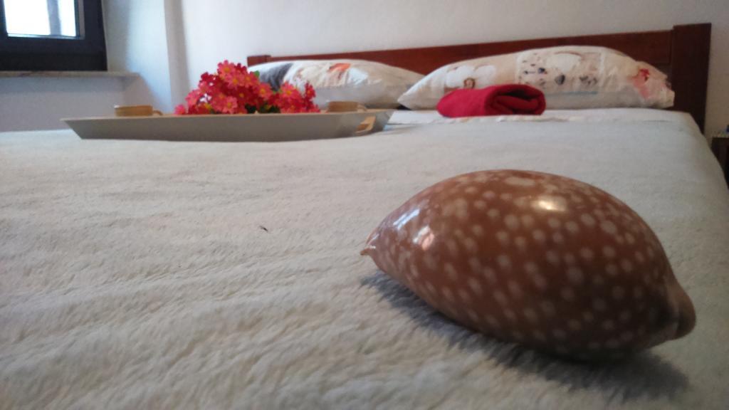 Apartment Vladka อิซอลา ภายนอก รูปภาพ
